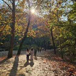 Seoul National University - Gwanak-gu