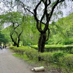 Seoul National University - Gwanak-gu