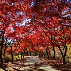 Seoul National University - Gwanak-gu