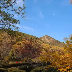 Seoul National University - Gwanak-gu