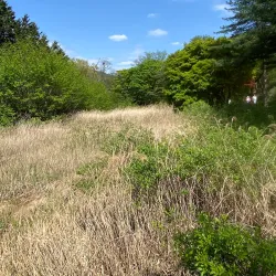 Seoul National University - Gwanak-gu