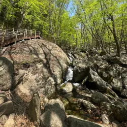 Baegunsan Mountain - Gwangyang