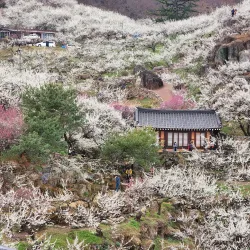 Gwangyang Arboretum - Gwangyang