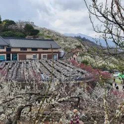 Gwangyang Arboretum - Gwangyang