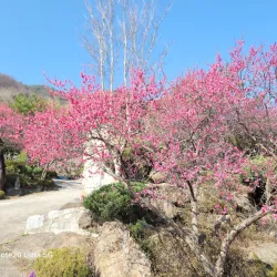 Gwangyang Arboretum - Gwangyang