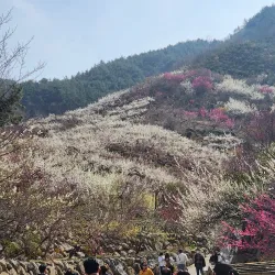 Gwangyang Arboretum - Gwangyang