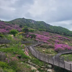 Hwangmaesan Mountain - Gwangyang