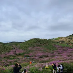 Hwangmaesan Mountain - Gwangyang