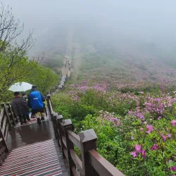 Hwangmaesan Mountain - Gwangyang