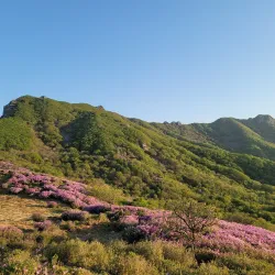 Hwangmaesan Mountain - Gwangyang