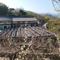 Maehwa Village - Gwangyang