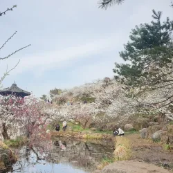 Maehwa Village - Gwangyang