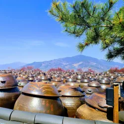 Maehwa Village - Gwangyang