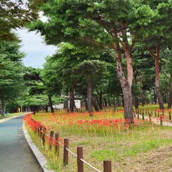 Seomjingang River - Gwangyang
