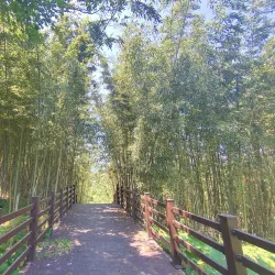 Seomjingang River - Gwangyang