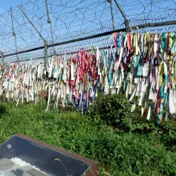DMZ (Demilitarized Zone) Tours - Gyeonggi