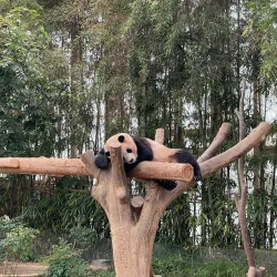 Everland Resort - Gyeonggi