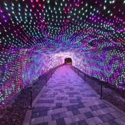 Gwangmyeong Cave - Gyeonggi