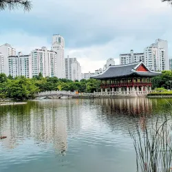 Seongnam Central Park - Gyeonggi