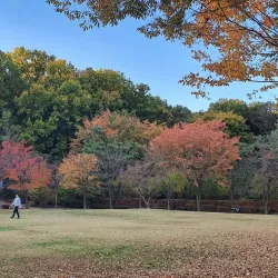 Seongnam Central Park - Gyeonggi