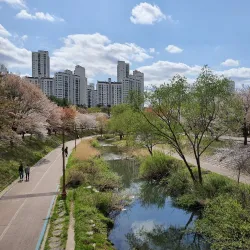 Seongnam Central Park - Gyeonggi