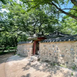 Gyerim Forest - Gyeongju