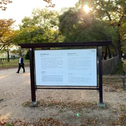 Gyerim Forest - Gyeongju