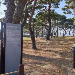 Gyerim Forest - Gyeongju