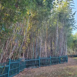 Poseokjeong Pavilion - Gyeongju