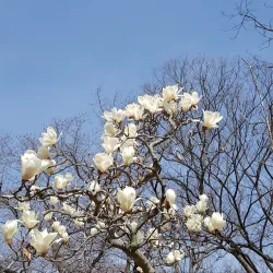 Poseokjeong Pavilion - Gyeongju