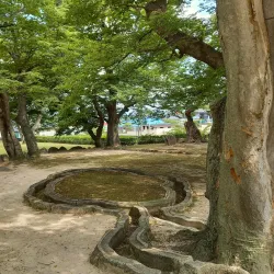 Poseokjeong Pavilion - Gyeongju