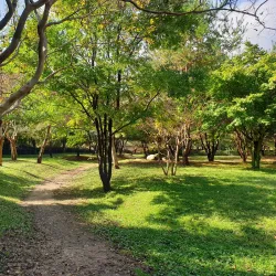 Poseokjeong Pavilion - Gyeongju