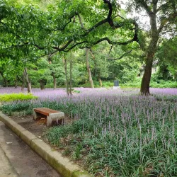 Wolseong Park - Gyeongju