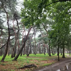 Wolseong Park - Gyeongju