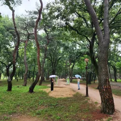 Wolseong Park - Gyeongju