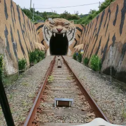 Hadong Rail Bike - Hadong-gun