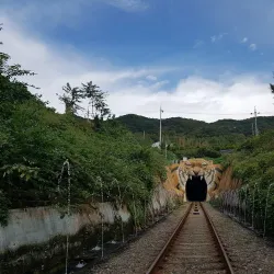 Hadong Rail Bike - Hadong-gun