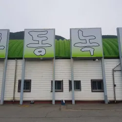 Hadong Tea Fields - Hadong-gun