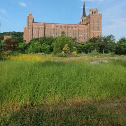 Icheon Ceramics Village - Icheon