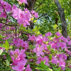 Icheon Hyanggyo Confucian School - Icheon