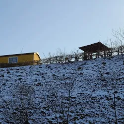 Icheon Rice Cultural Festival - Icheon