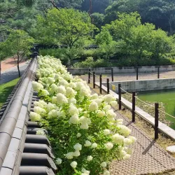 Icheon Rice Cultural Festival - Icheon