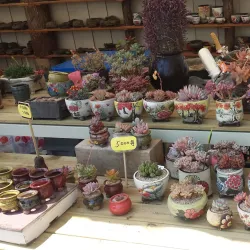 Icheon World Ceramic Center - Icheon