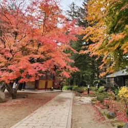 Woljeongsa Temple - Icheon