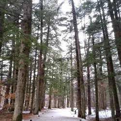 Woljeongsa Temple - Icheon