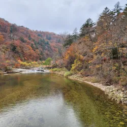 Woljeongsa Temple - Icheon