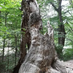 Woljeongsa Temple - Icheon
