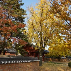 Gyeonggijeon Shrine - Iksan (Iri)