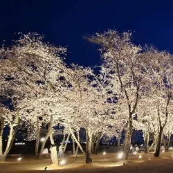 Wanggung-ri Baekje Historic Site - Iksan (Iri)