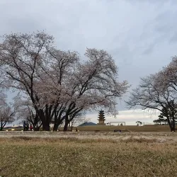 Wanggung-ri Baekje Historic Site - Iksan (Iri)